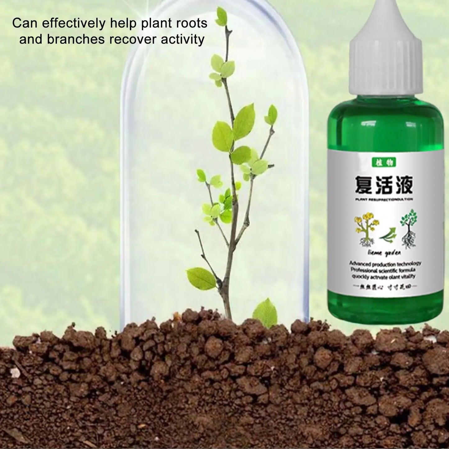 Plant Revitalizer Liquid – Organic Nutrient Solution for Fast Growth