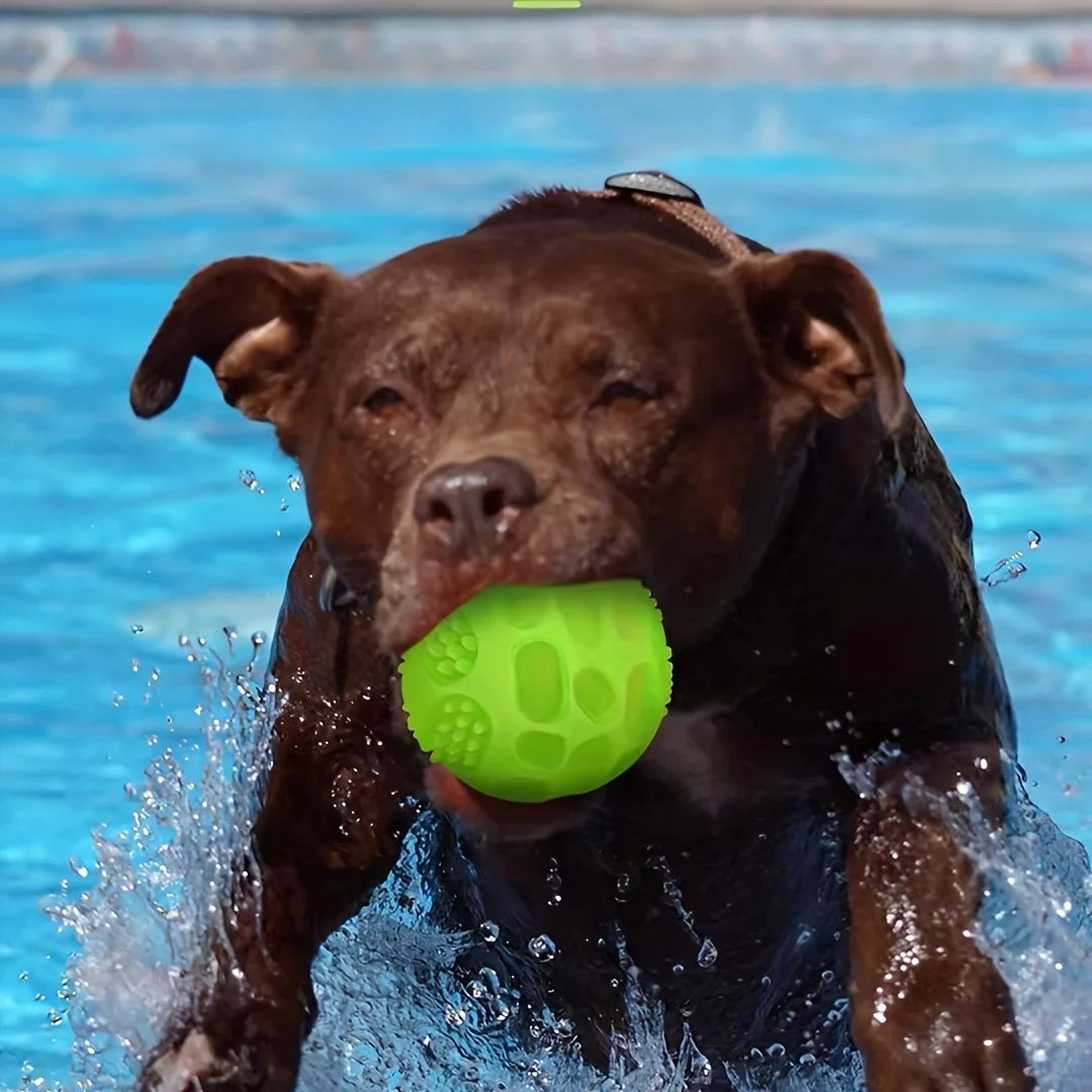 Glow in the Dark Dog Toy Ball – Squeaky TPR Chew & Teeth Cleaner