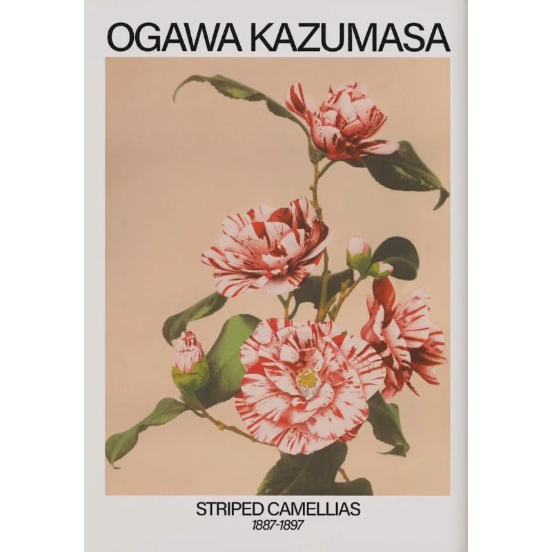 Retro Japanese Floral Illustration Poster Nature Botanical Flower Dahlia Sakura Azalea Canvas Painting Wall Art Room Home Dec Peaceful Pleasures Health and Wellness 19 50x70cm Unframed