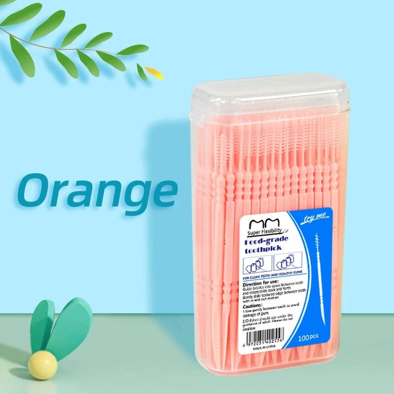 Disposable Double-Head Dental Floss Picks | 100 Pack Box