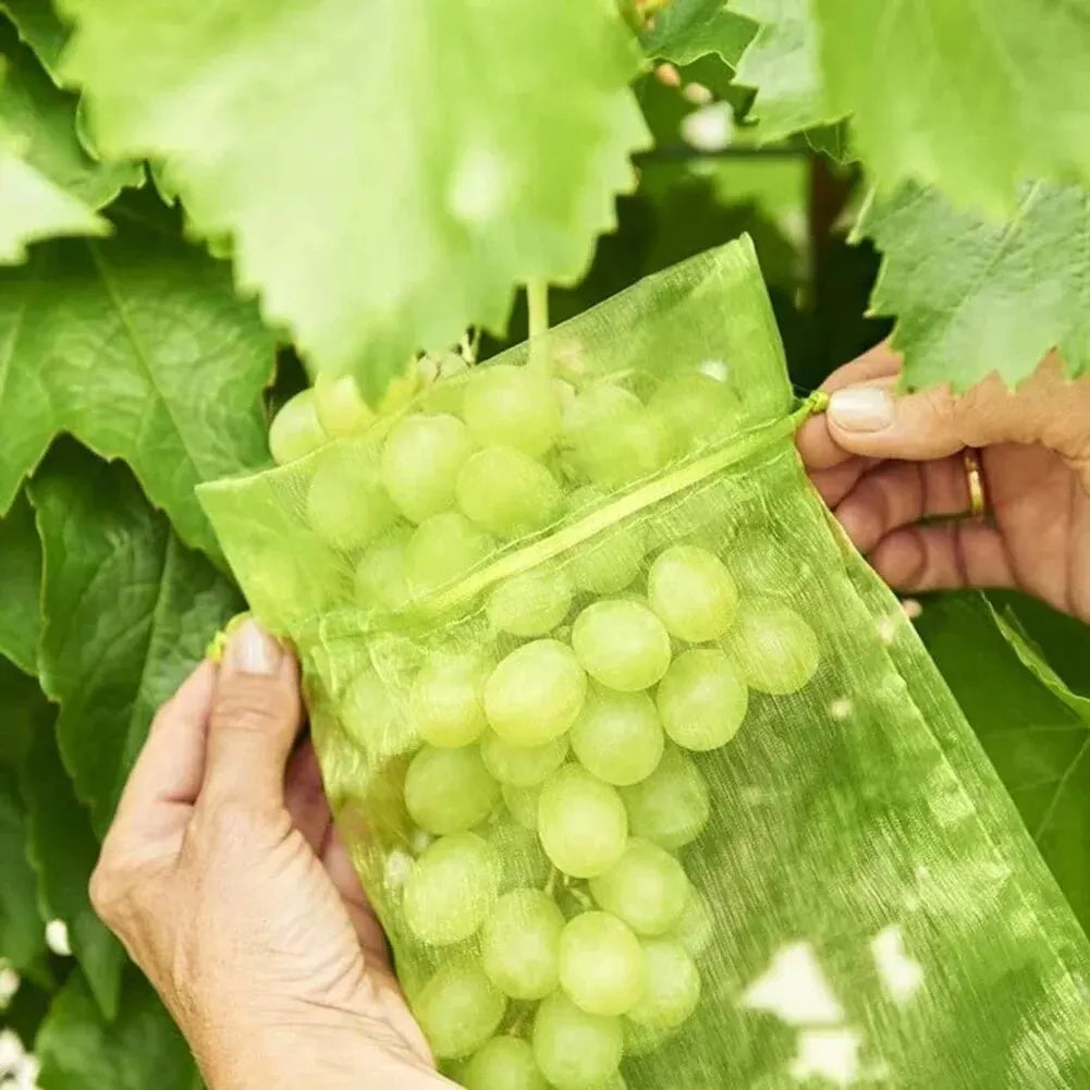 50pcs Fruit Netting Bags – Anti-Bird Mesh Garden Covers