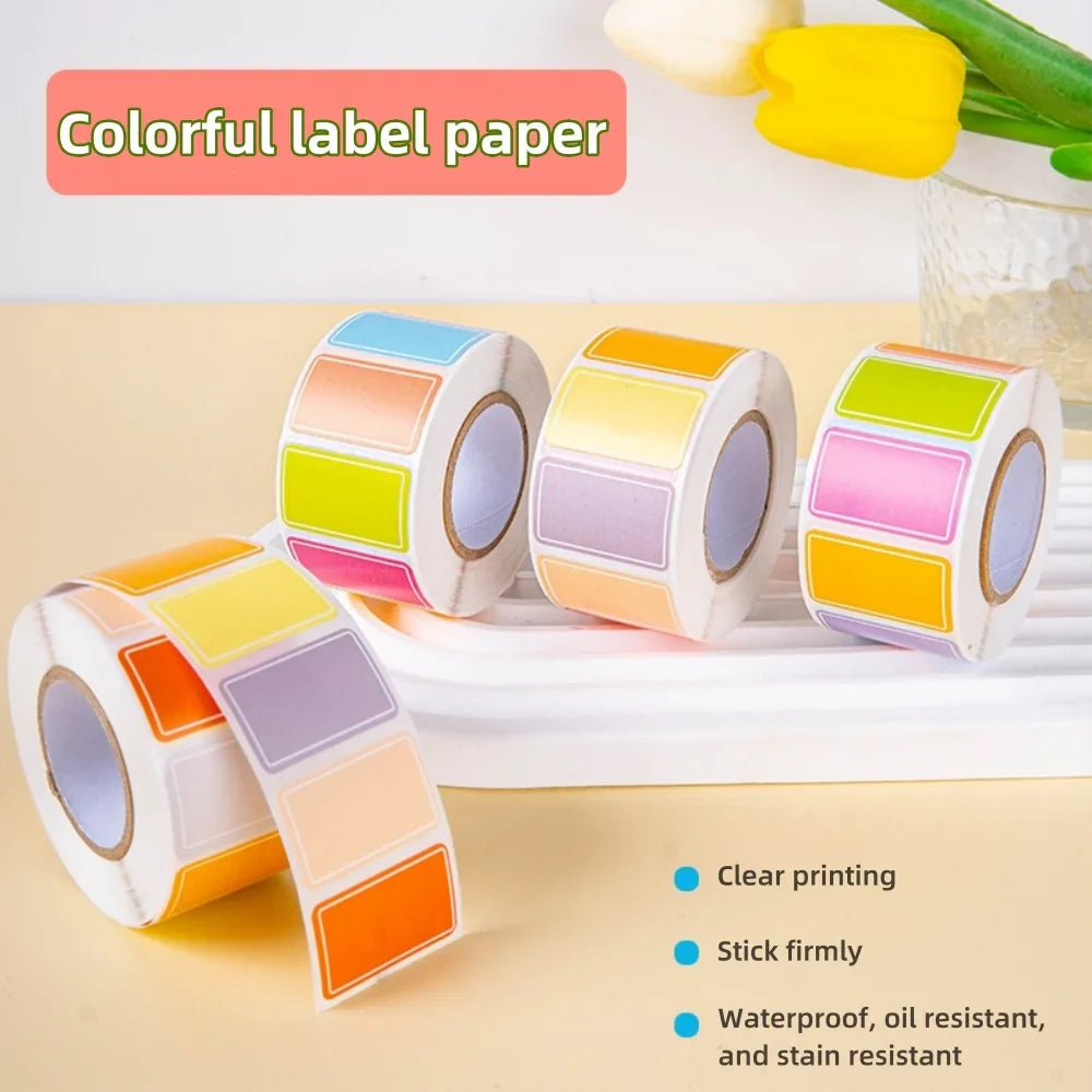 500 Waterproof Color-Coding Removable Labels for Organization