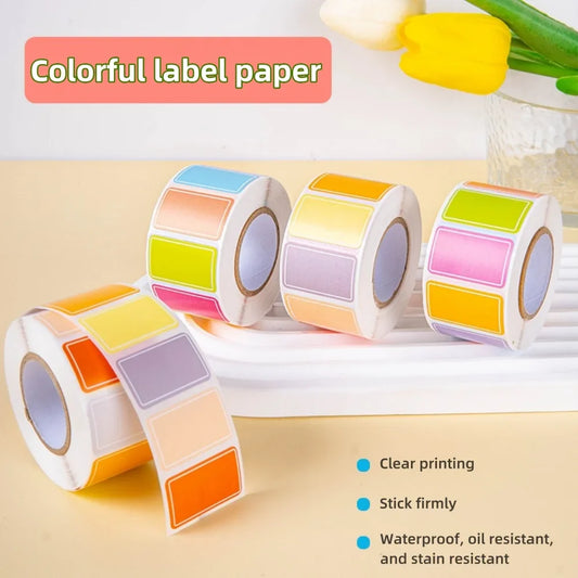 500 Waterproof Color-Coding Removable Labels for Organization Color-Coding Labels Oasis Select