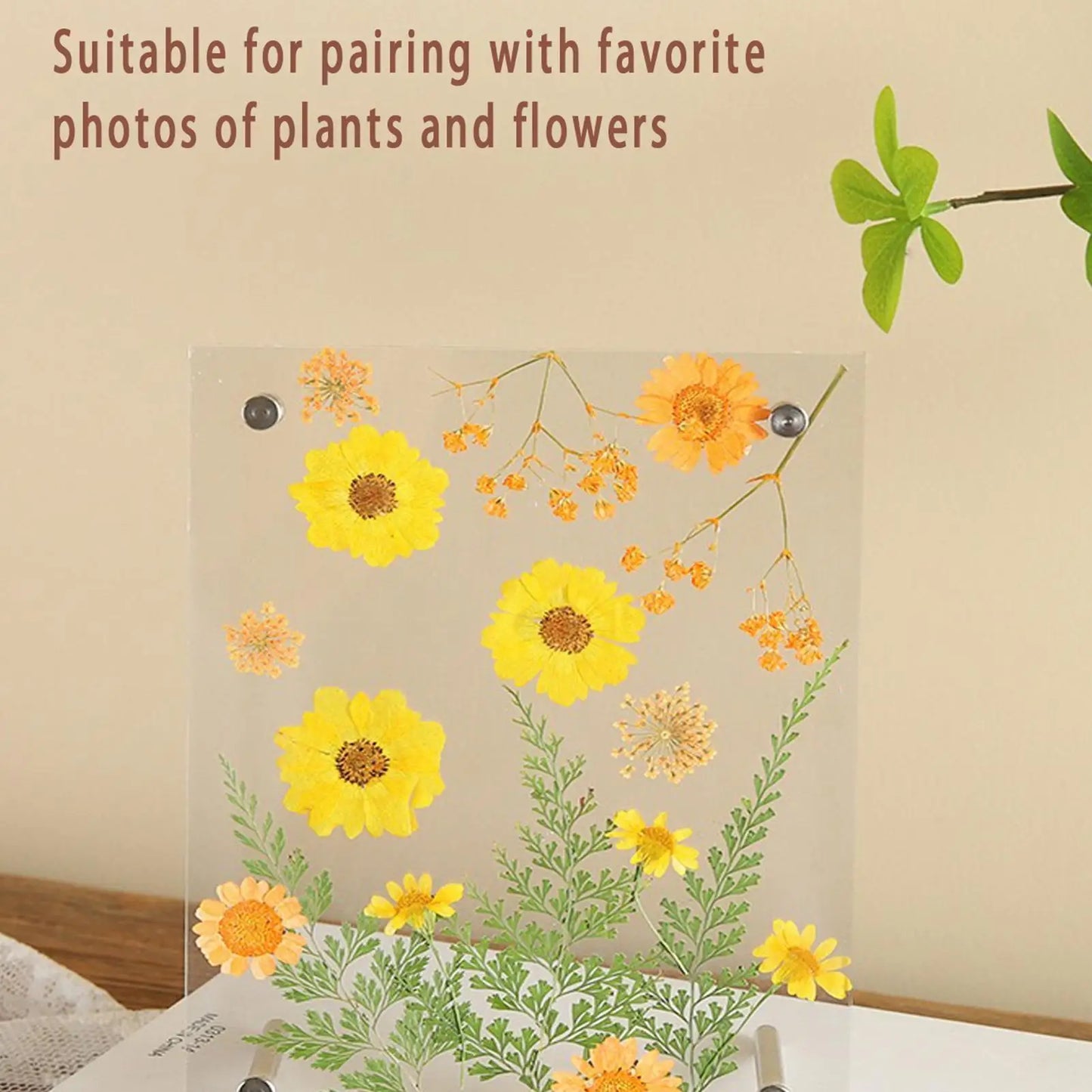 Acrylic Pressed Flower Frame | Floating Keepsake Picture Frame