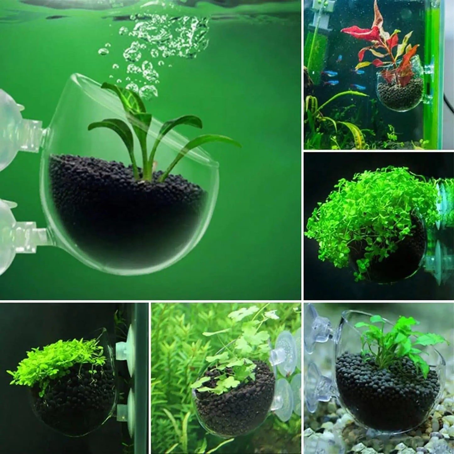 Acrylic Aquarium Plant Cup with Suction Holder | Fish Tank Pot