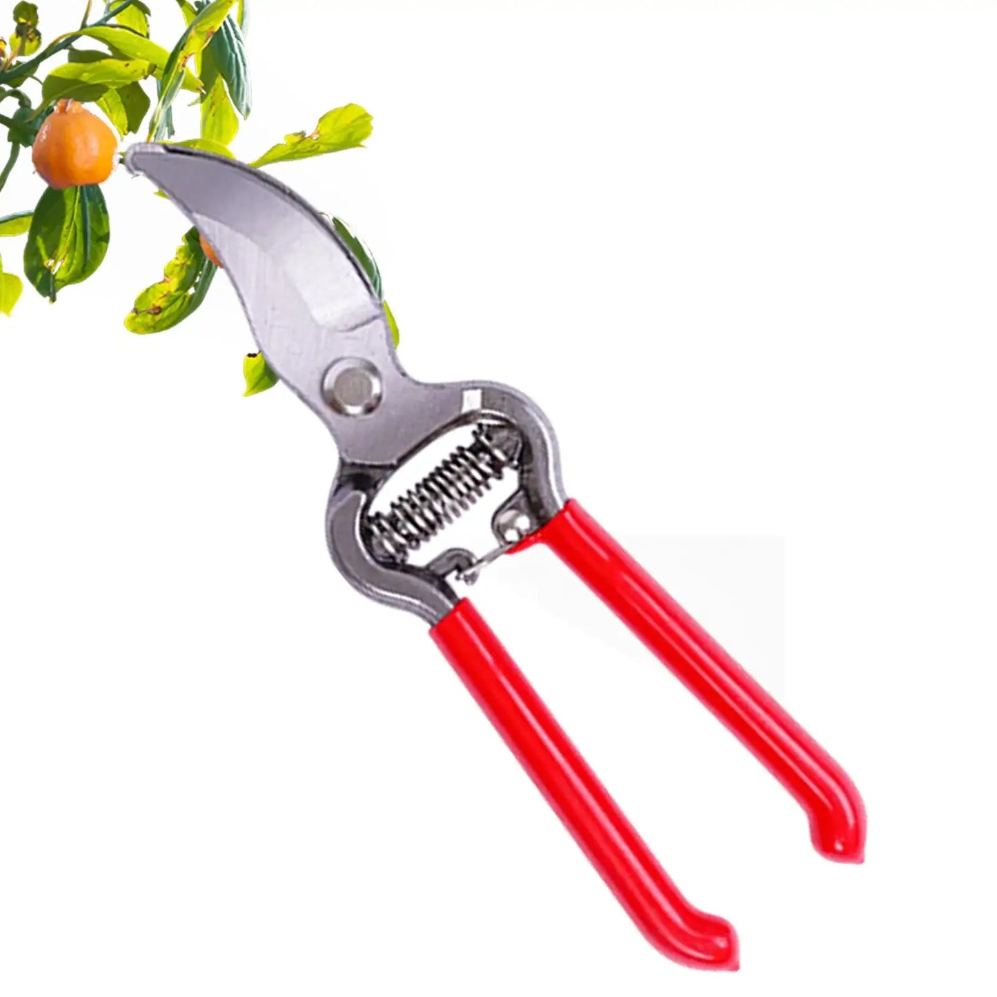 Stainless Steel Pruning Shears | Sharp Garden Hand Clippers
