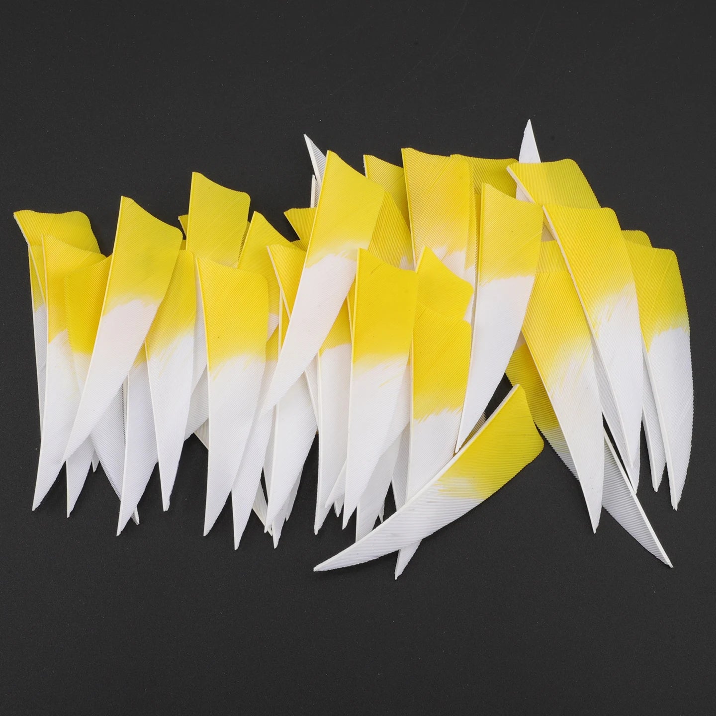 Archery 3 Natural Gradient Shield Turkey Feather Right Wing Arrow