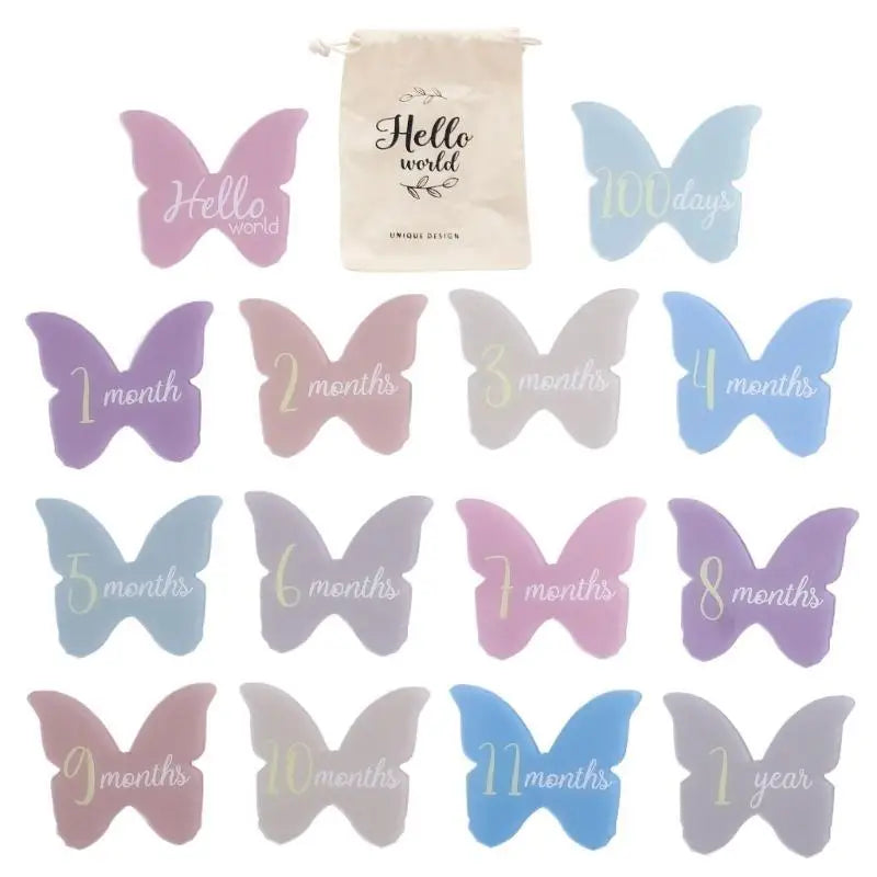 Baby Monthly Milestone Cards 14pc Acrylic Cloud & Butterfly Set