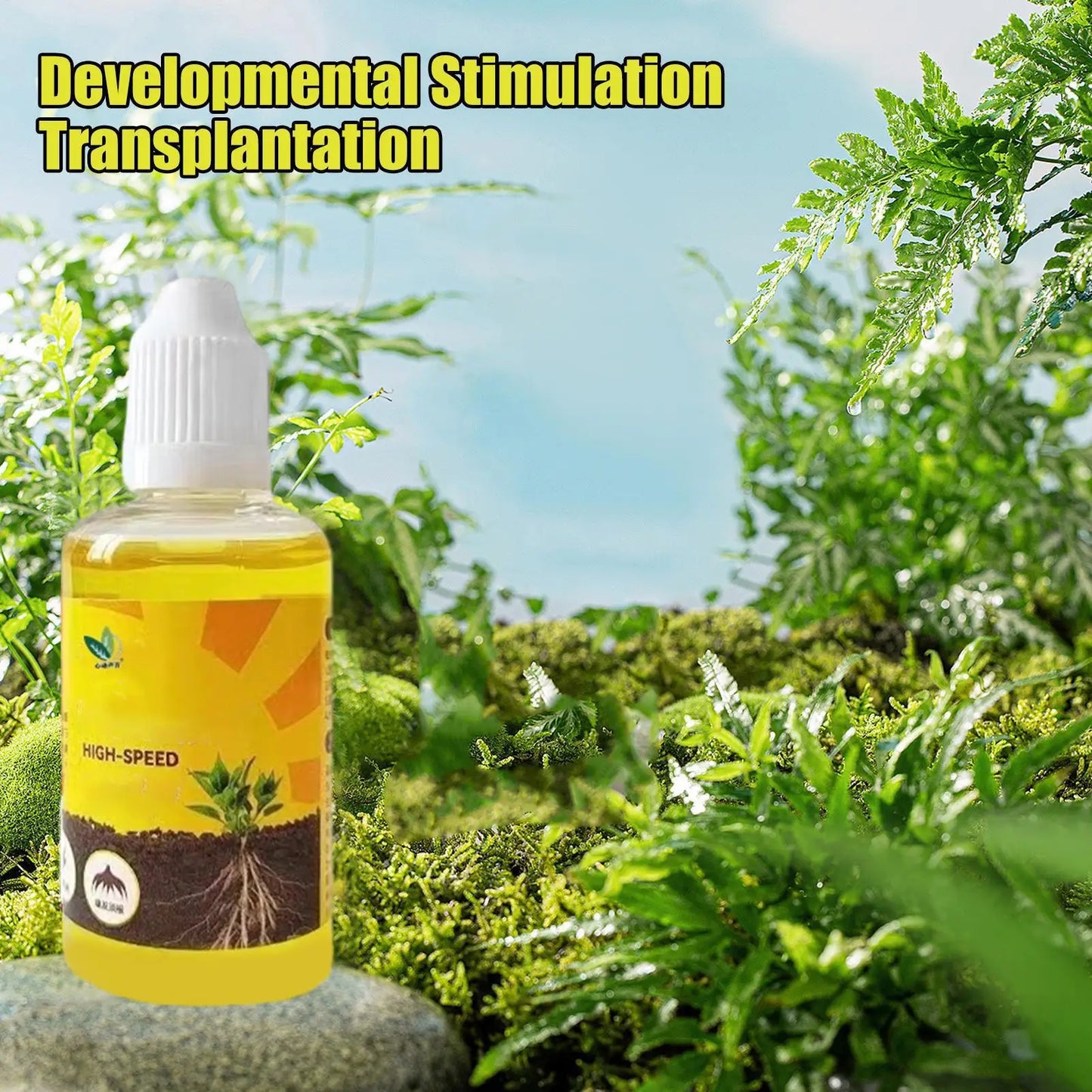50ml Plant Rooting Stimulator Liquid | Cuttings & Succulents Plant Rooting Liquid Peaceful Pleasures Health and Wellness