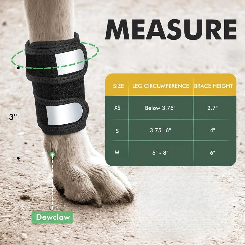 Adjustable Reflective Dog Knee & Leg Pads Joint Injury Protective Pet Dog Front Leg Safety Training Products Peaceful Pleasures Health and Wellness Black-S(S)