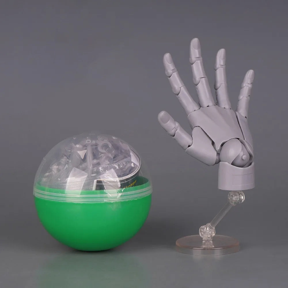 1:2 Scale Articulated Hand Model – Posable Fingers for Artists