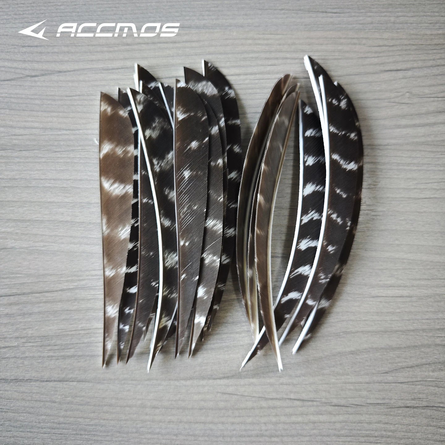 25 RW LW Natural Turkey Archery Arrow Feathers Shield 3 4 Fletching