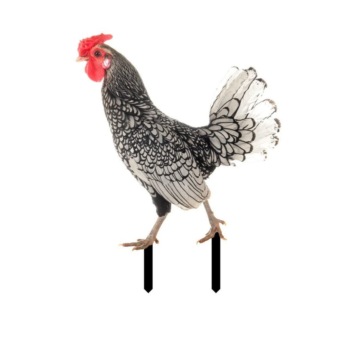 2D Acrylic Chicken Rooster Garden Stake Yard Art Ornament