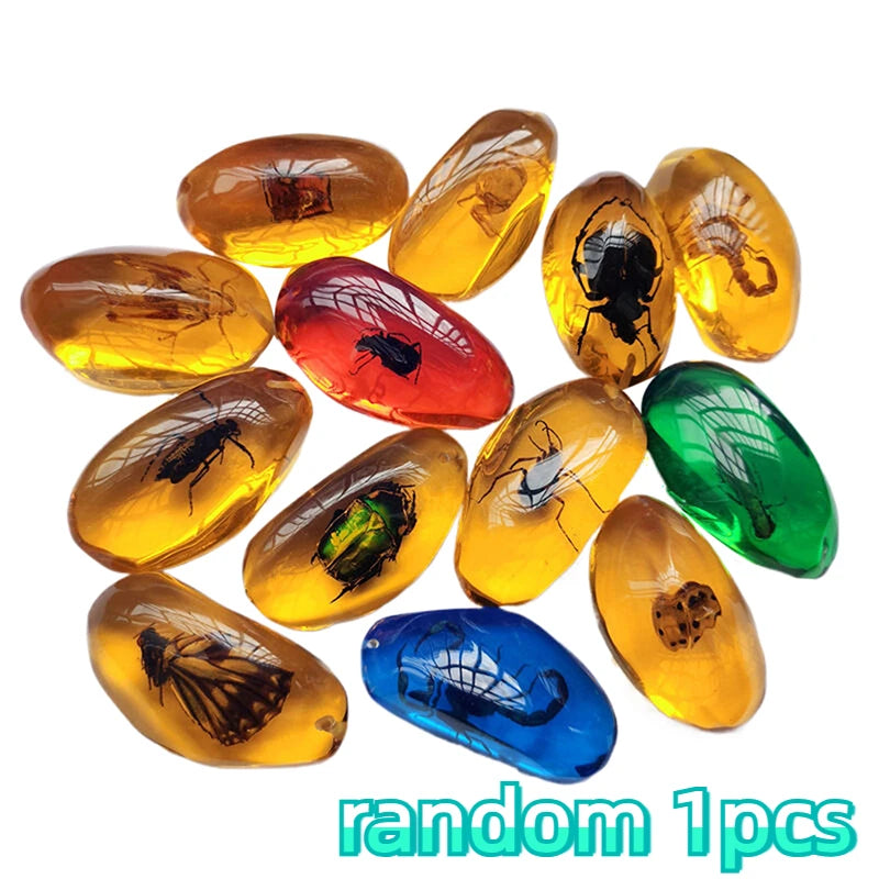 Scorpion Insect Amber Gemstone | Natural Mineral Stone Decor Amber Gemstone Specimen Peaceful Pleasures Health and Wellness Random 1pcs