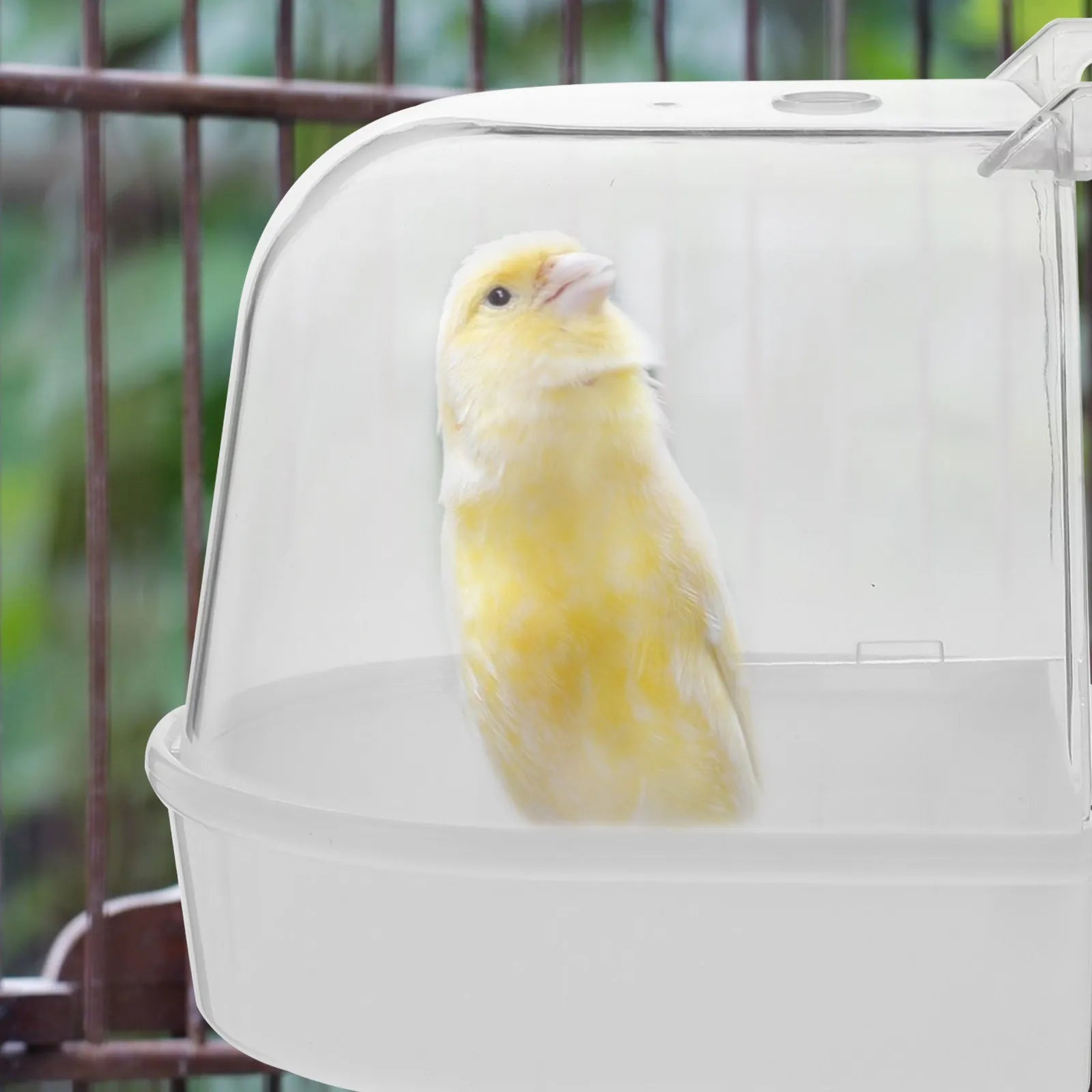 2Pcs Bird Bath Basins Hanging Parrot Shower Tubs Spill-Proof Outdoor Cage Bathtubs for Pet Bird Cleaning Moisturizing Skin Peaceful Pleasures Health and Wellness