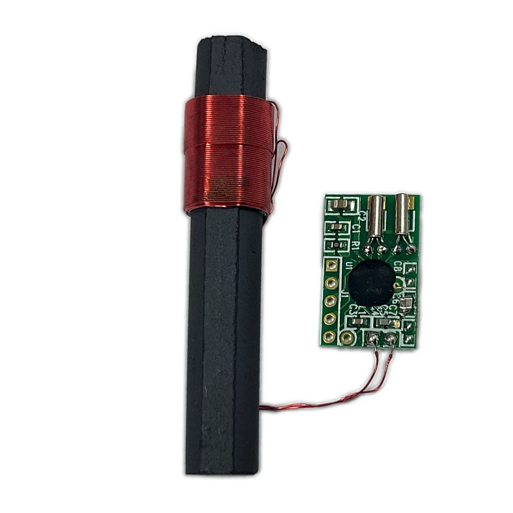 DCF77 Receiver Module Radio Time Antenna Integrated MCU Signal