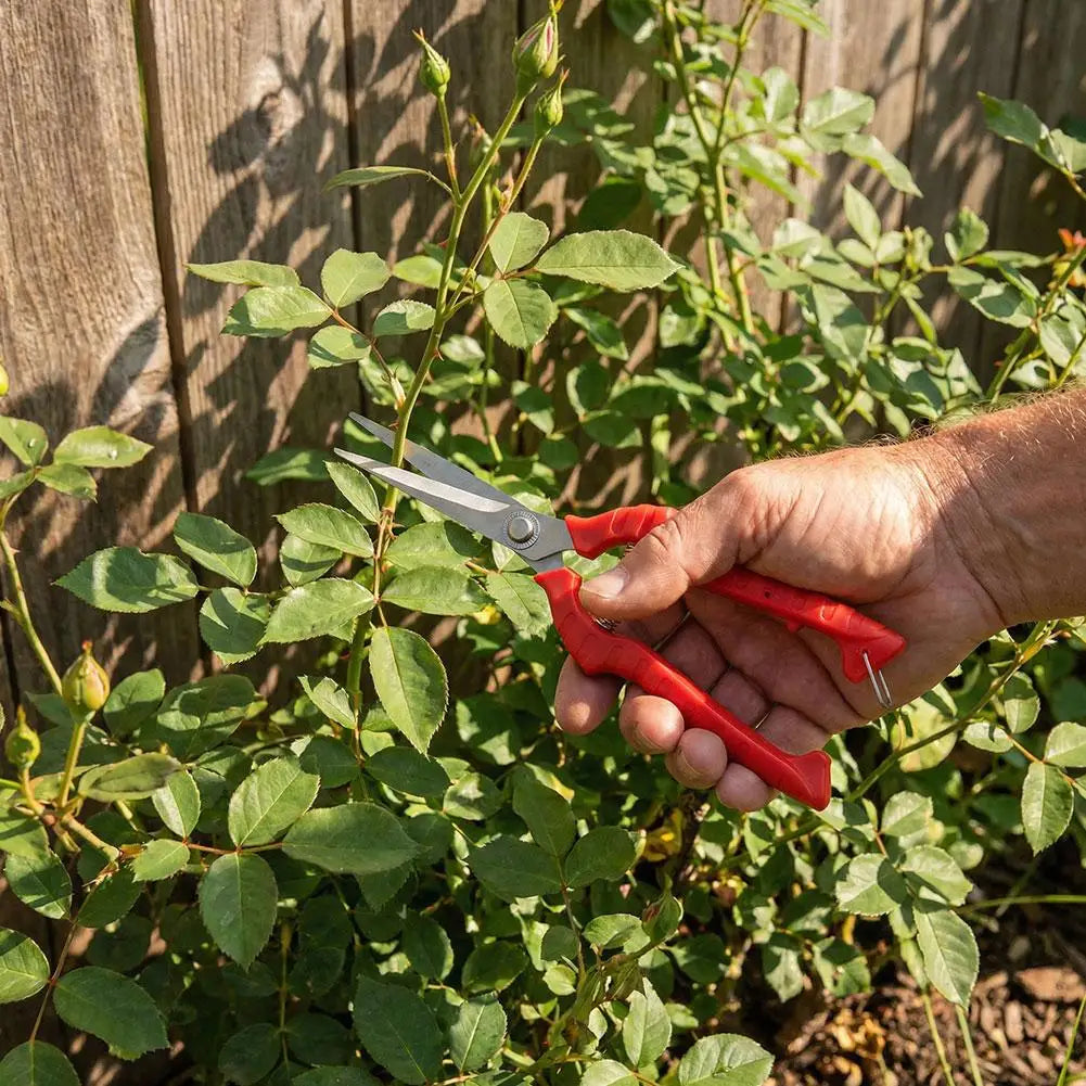 Garden Pruning Shears – Stainless Steel Bonsai Scissors 4 Sizes