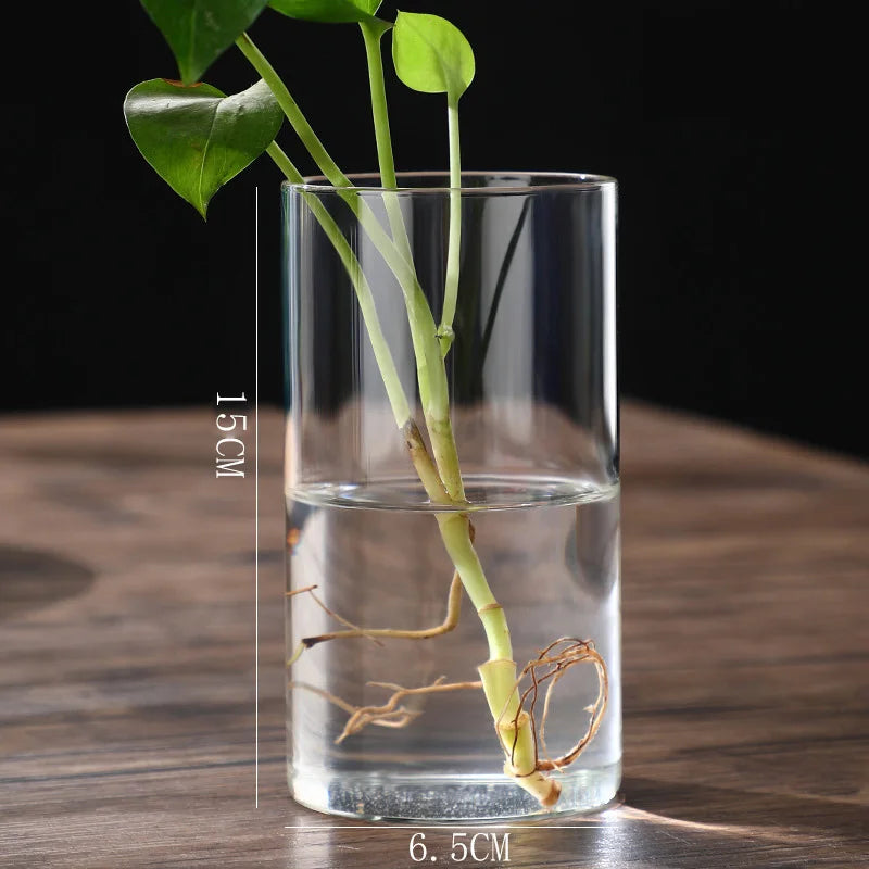 Transparent Glass Hydroponic Vase Modern Small Cylinder Flower Centerpiece Vases Use For Floral Wedding Home Decoration Peaceful Pleasures Health and Wellness 6.5x15cm