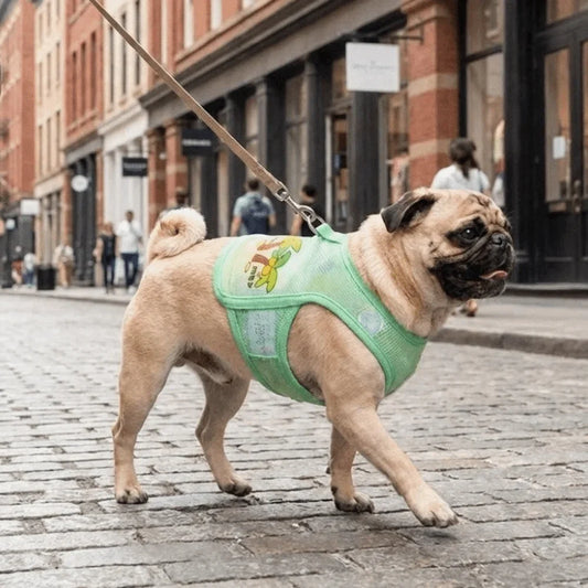 Striped Mesh Dog Cooling Vest | Ice Silk Bear Pattern T-Shirt Dog Cooling Vest Oasis Select