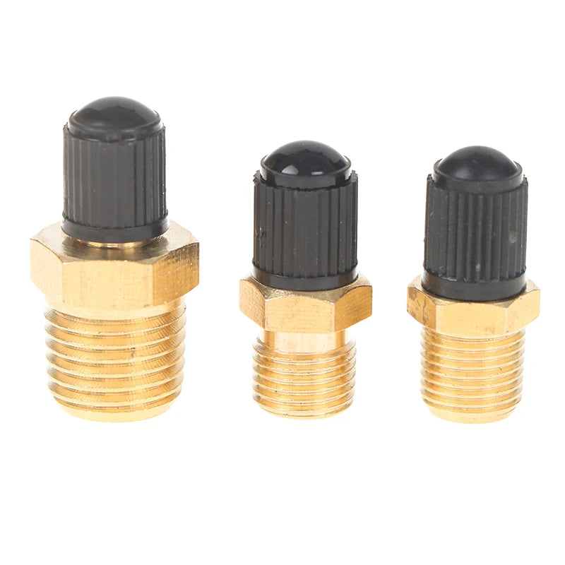 High Quality M10*1、1/8 NPT、1/4 NPT Automobile Tire Valve Tire Valve Tire Pressure Monitoring 1/4 1/8 NPT Valve Peaceful Pleasures Health and Wellness