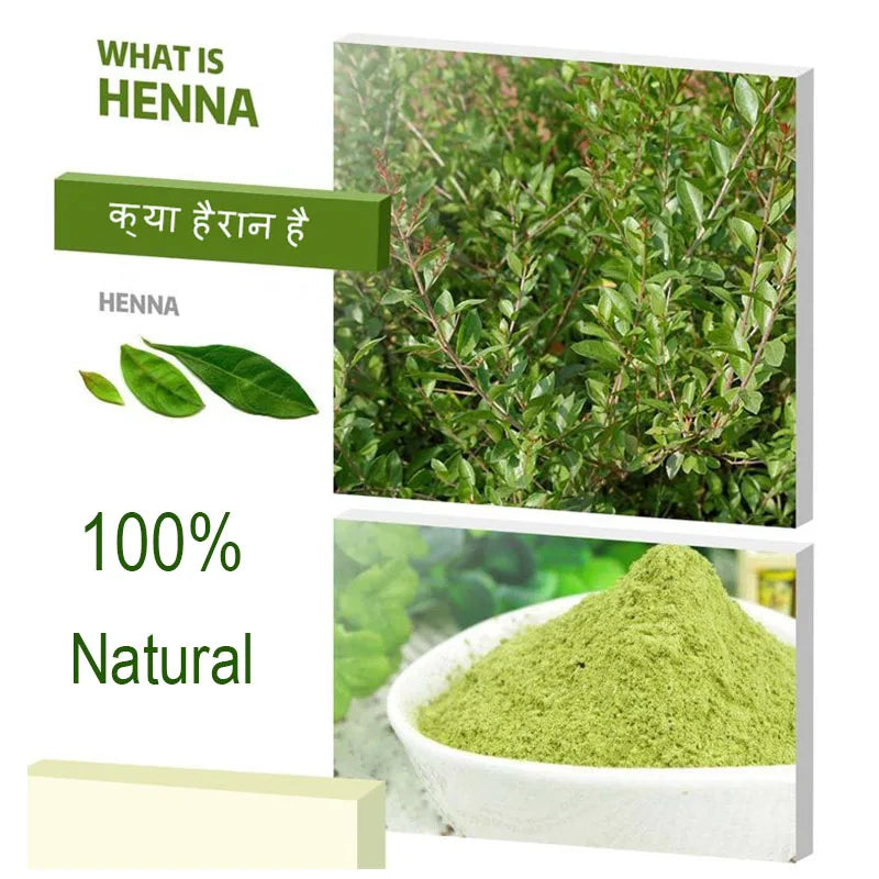 Pure Plant Henna & Indigo Hair Dye Powder – 100g, Covers Gray Peaceful Pleasures Health and Wellness