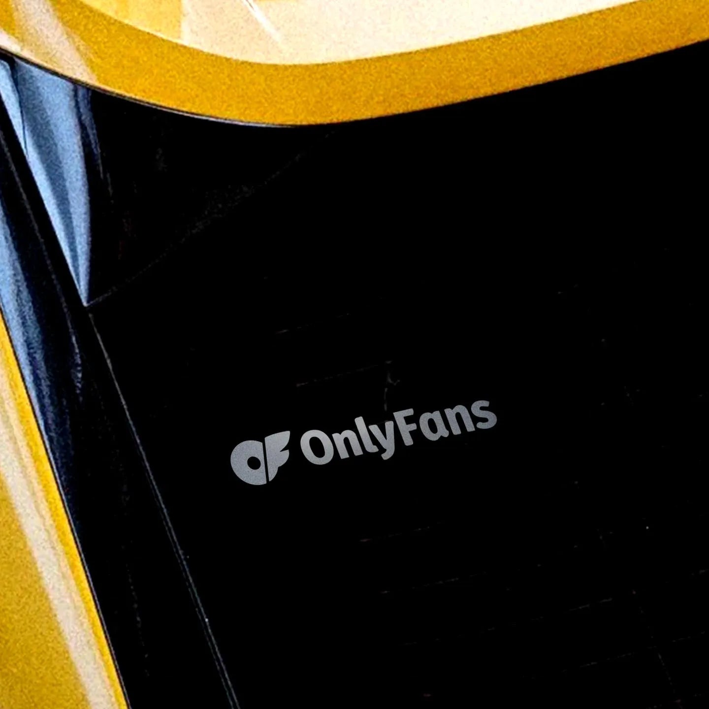 Waterproof Vinyl Decal Sticker – Car, Laptop & Helmet