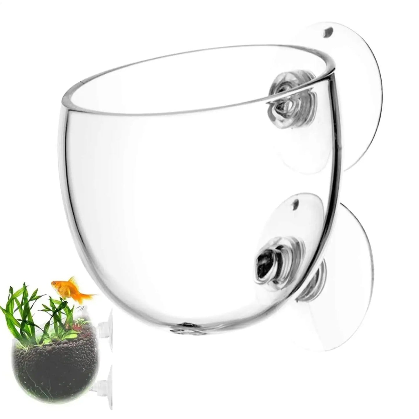 Aquarium Glass Plant Pot with Suction Cups | Fish Tank Planter