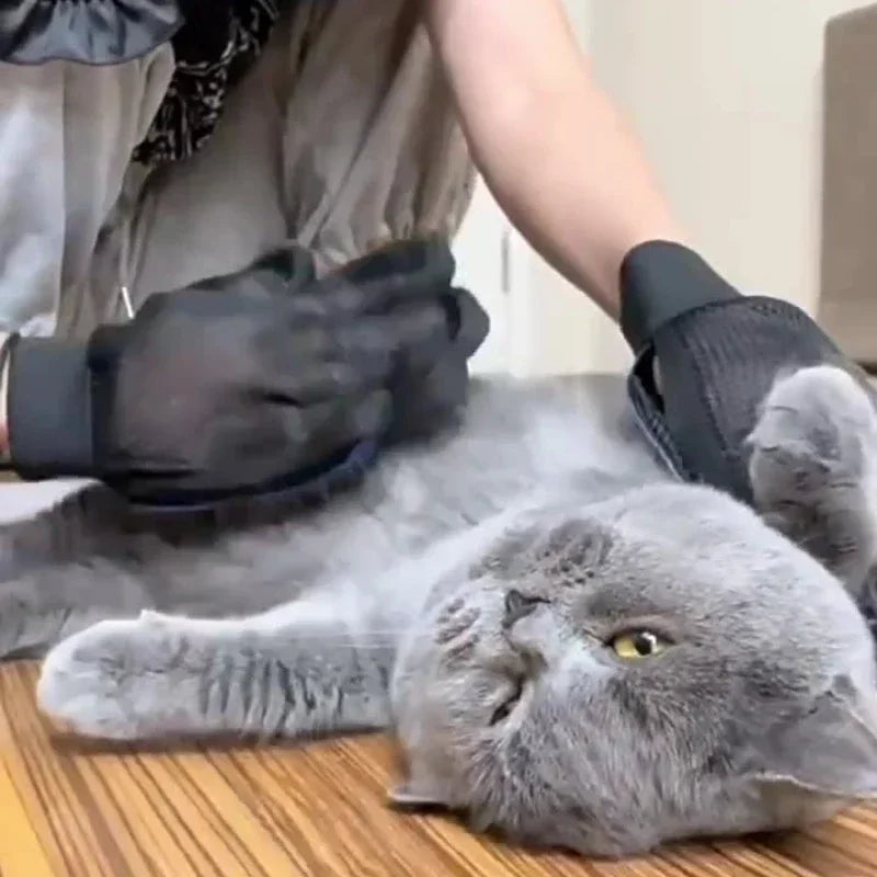 Silicone Pet Grooming Glove – Cat & Dog Hair Removal Brush