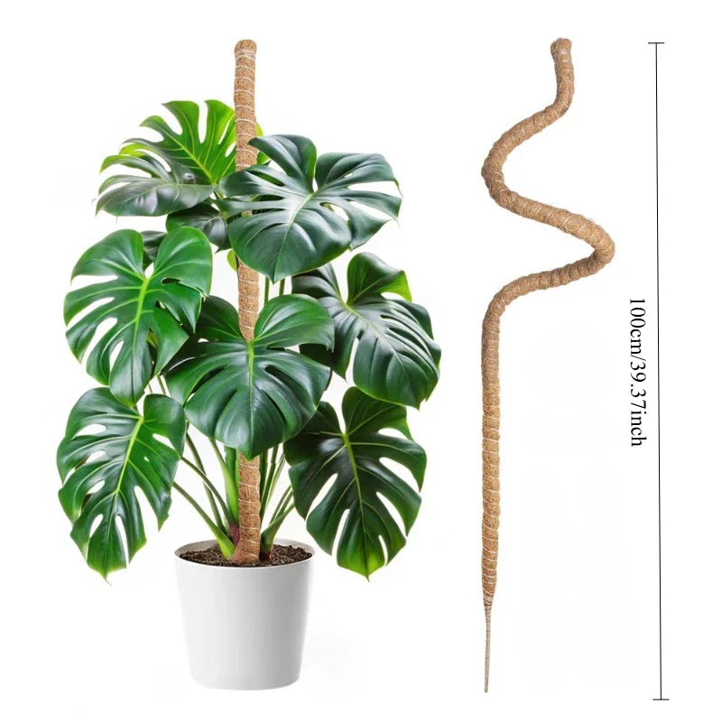 Bendable Coco Coir Moss Pole for Monstera & Climbing Plants