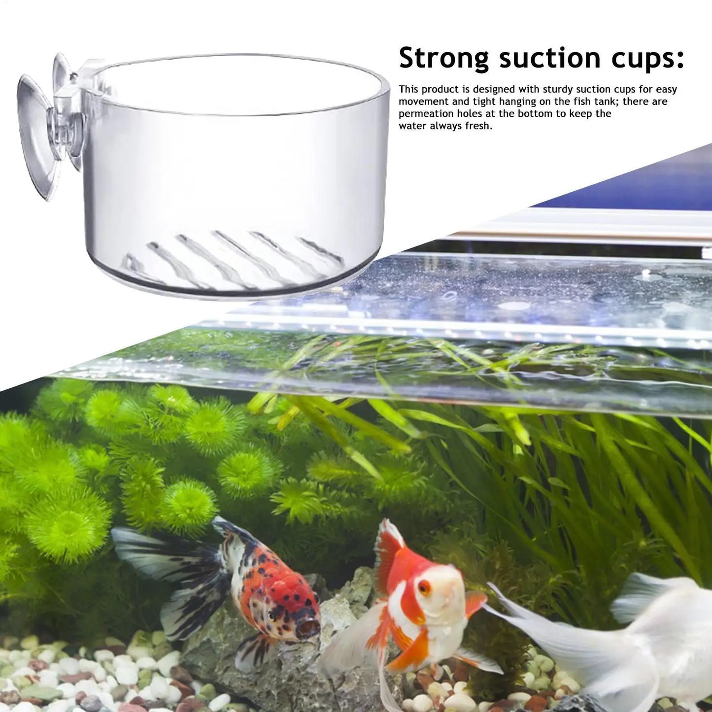 Acrylic Aquarium Plant Cup with Suction Holder | Fish Tank Pot
