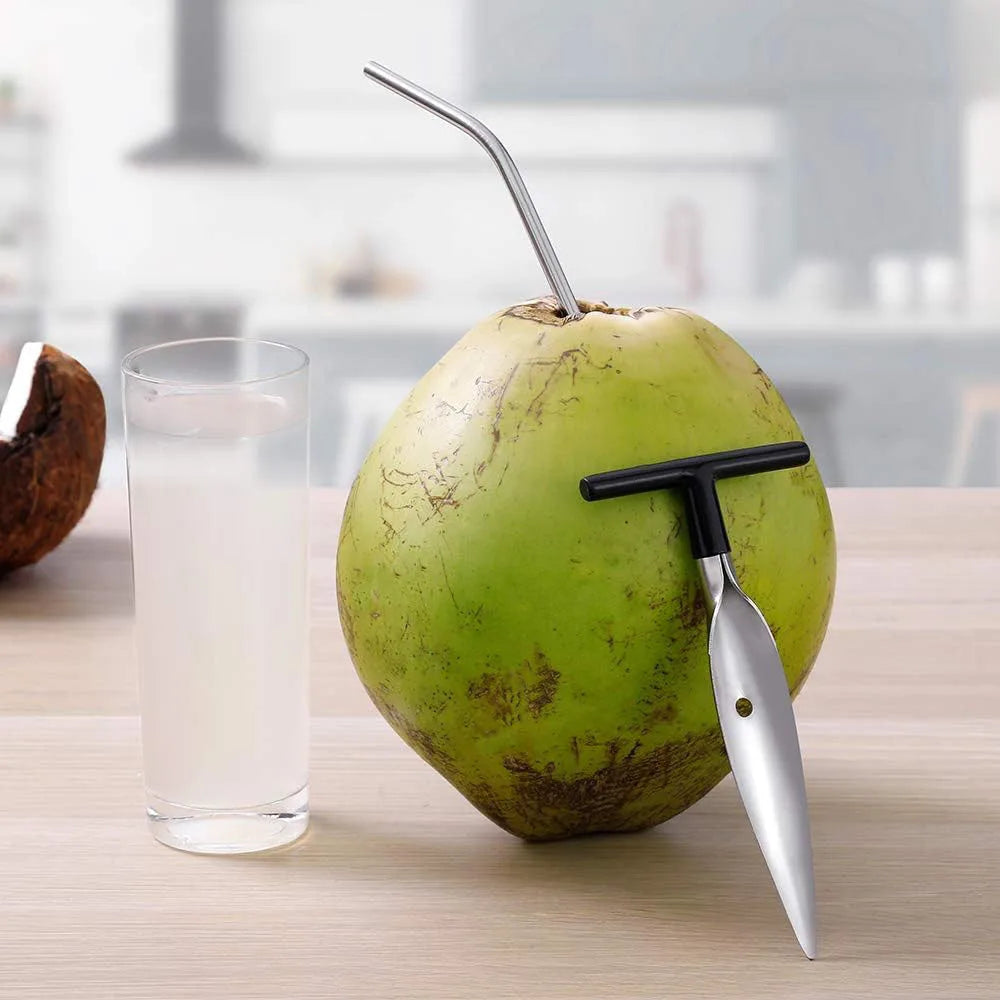 2-Pack Stainless Steel Coconut Opener Drill Tool | Safe & Easy