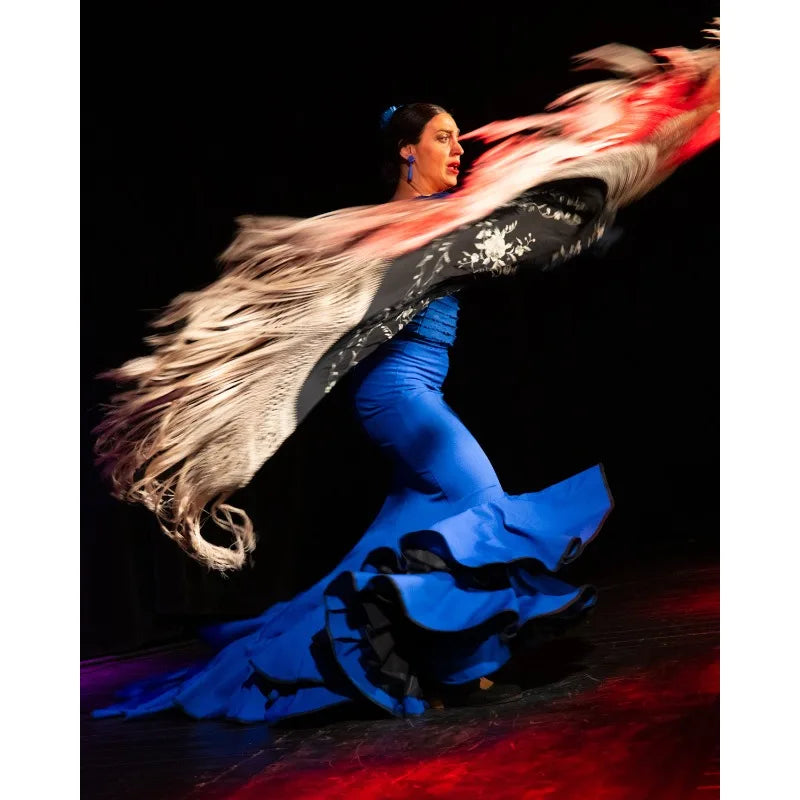 Flamenco Dancer Canvas Wall Art | Red Dress Spanish Gitana