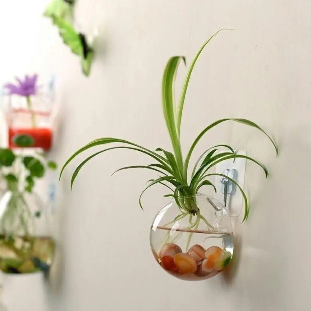 Wall Mounted Fish Tank for Creative Home and Office Peaceful Pleasures Health and Wellness