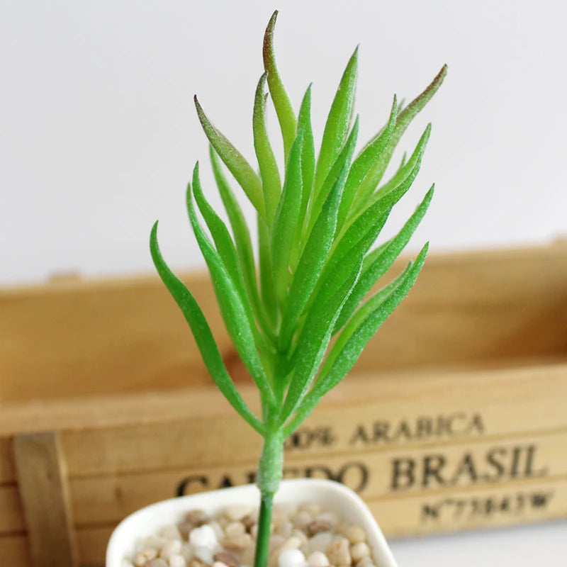 Artifical Plastic Succulent Plant Realistic Textured Cactus Mini Faux