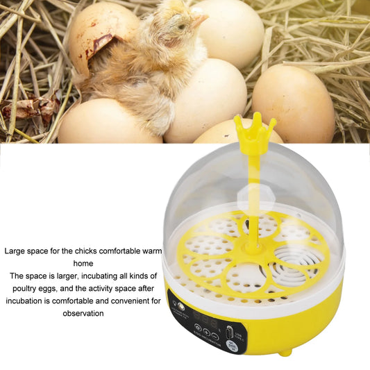 Digital Egg Candler Egg Incubator Noiseless Automatic Temperature Humidity Eggs Transparent Lid for Home Peaceful Pleasures Health and Wellness