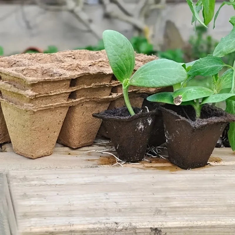 10-Cell Biodegradable Seed Starter Tray | Eco Paper Pulp Pots