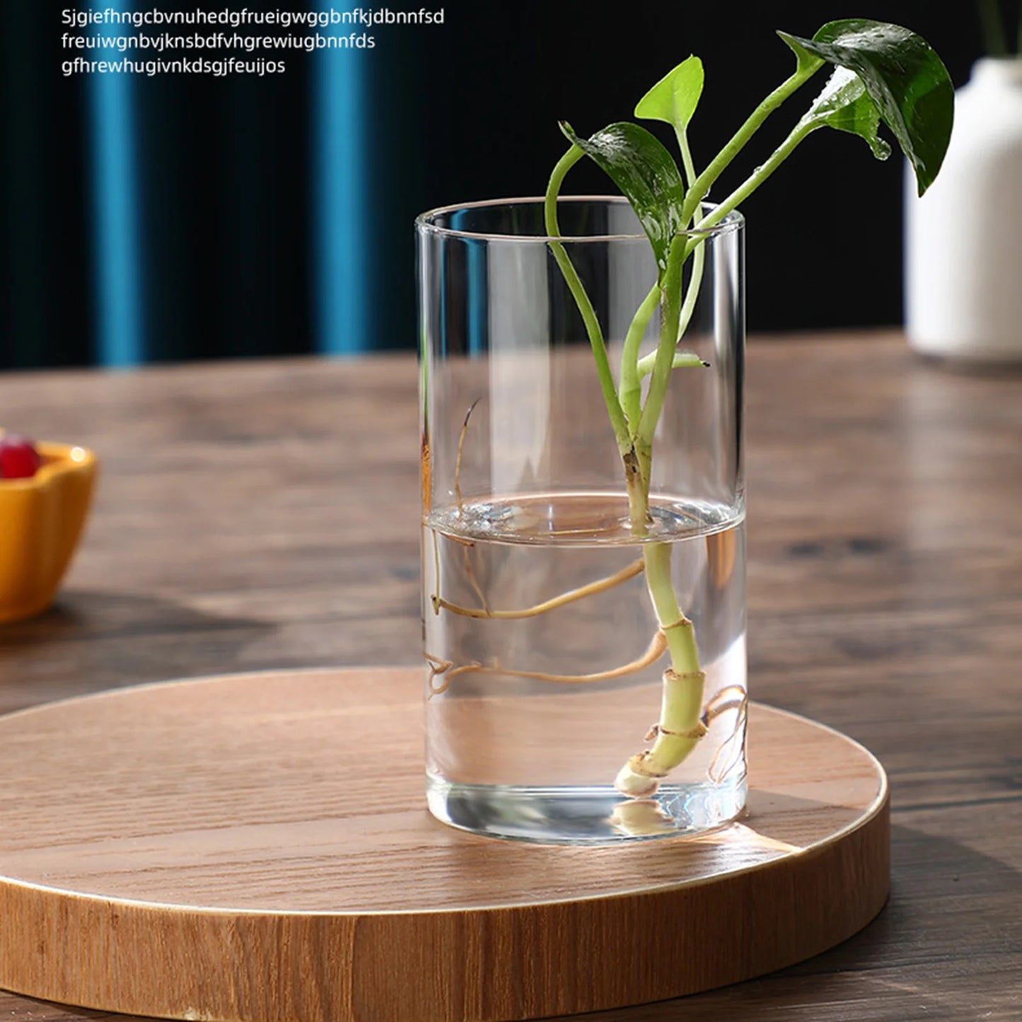 Transparent Glass Hydroponic Vase Modern Small Cylinder Flower Centerpiece Vases Use For Floral Wedding Home Decoration Peaceful Pleasures Health and Wellness