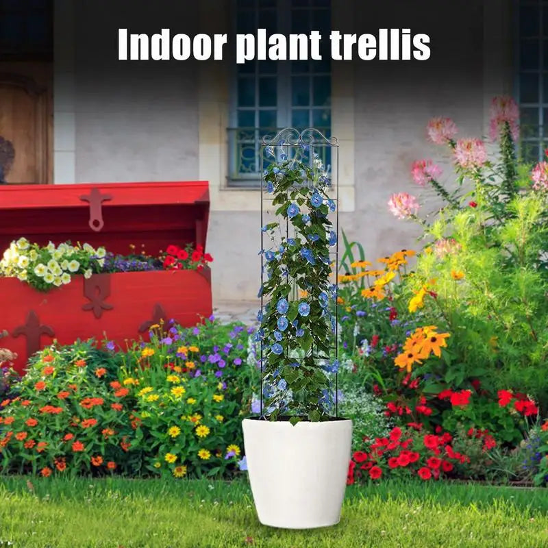 Metal Plant Trellis for Potted Plants – Vine Climbing Support Stake