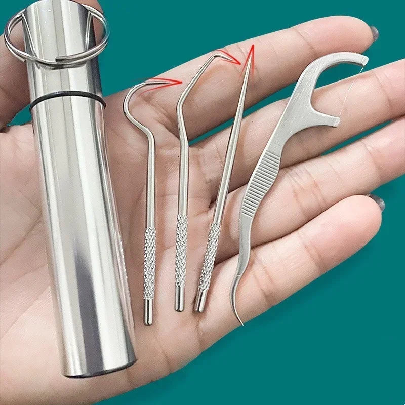1Set Toothpick Set Metal Stainless Steel Oral Cleaning Tooth Flossing Portable Toothpick Floss Teeth Cleaner with Storage Tube Peaceful Pleasures Health and Wellness