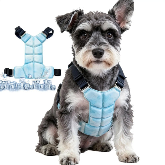 Dog Cooling Vest – Gel Harness Jacket for Summer Walks & Outdoor Dog Cooling Vest Oasis Select