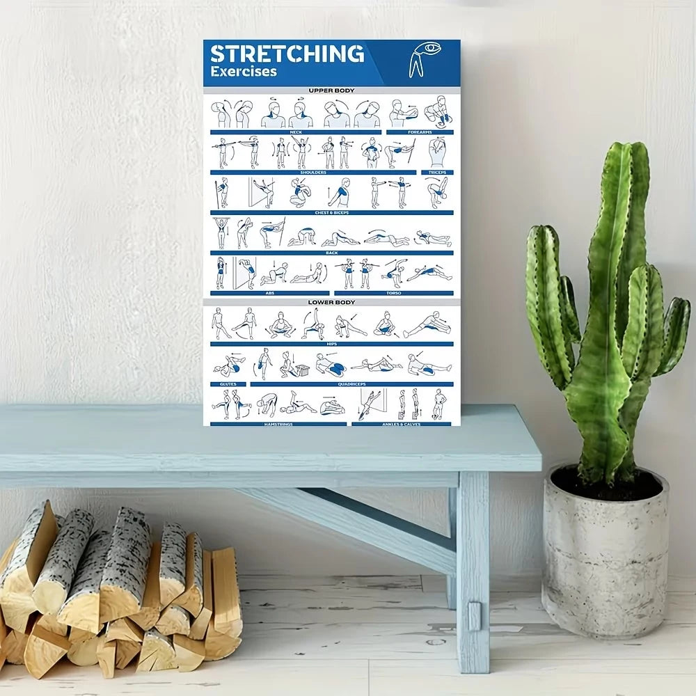 Full-Body Stretches Gym Canvas Wall Art Print | Fitness Poster