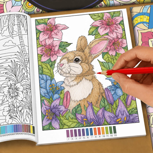 Number Coloring Book Adults 32 Pages Mandala Flower Animal Patterns Peaceful Pleasures Health and Wellness