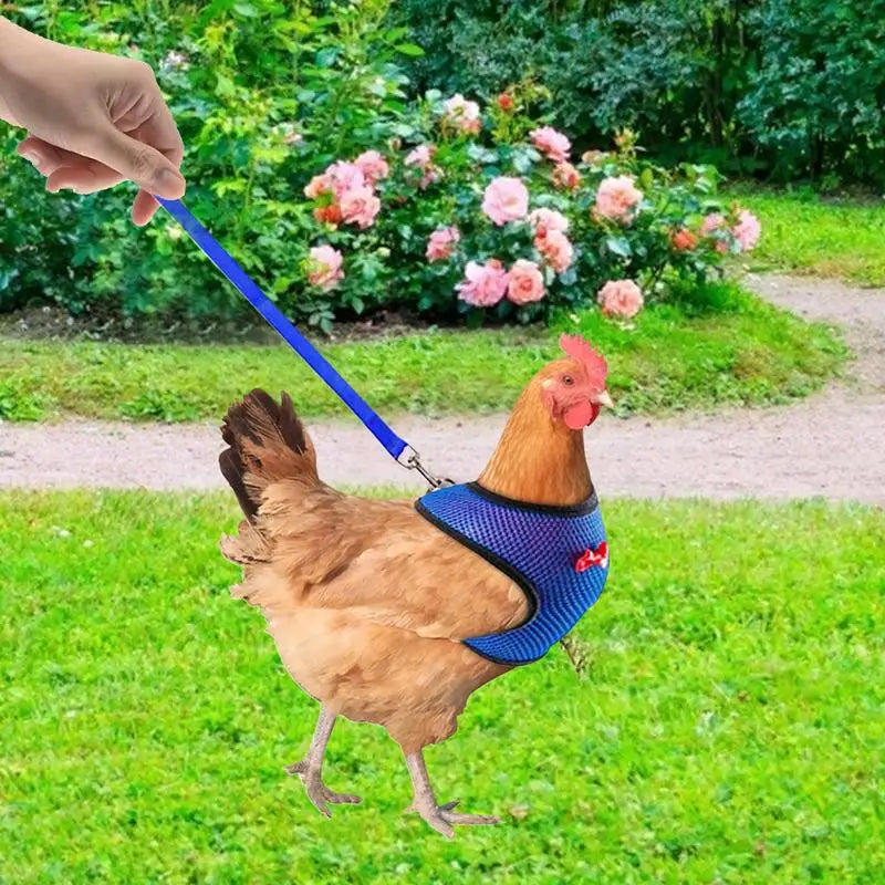 Chicken Harness For Hens Adjustable Chicken Traction Rope Harness Comfortable Hen Vest Pet Supplies 3.6Ft Training Rope For Hens Peaceful Pleasures Health and Wellness