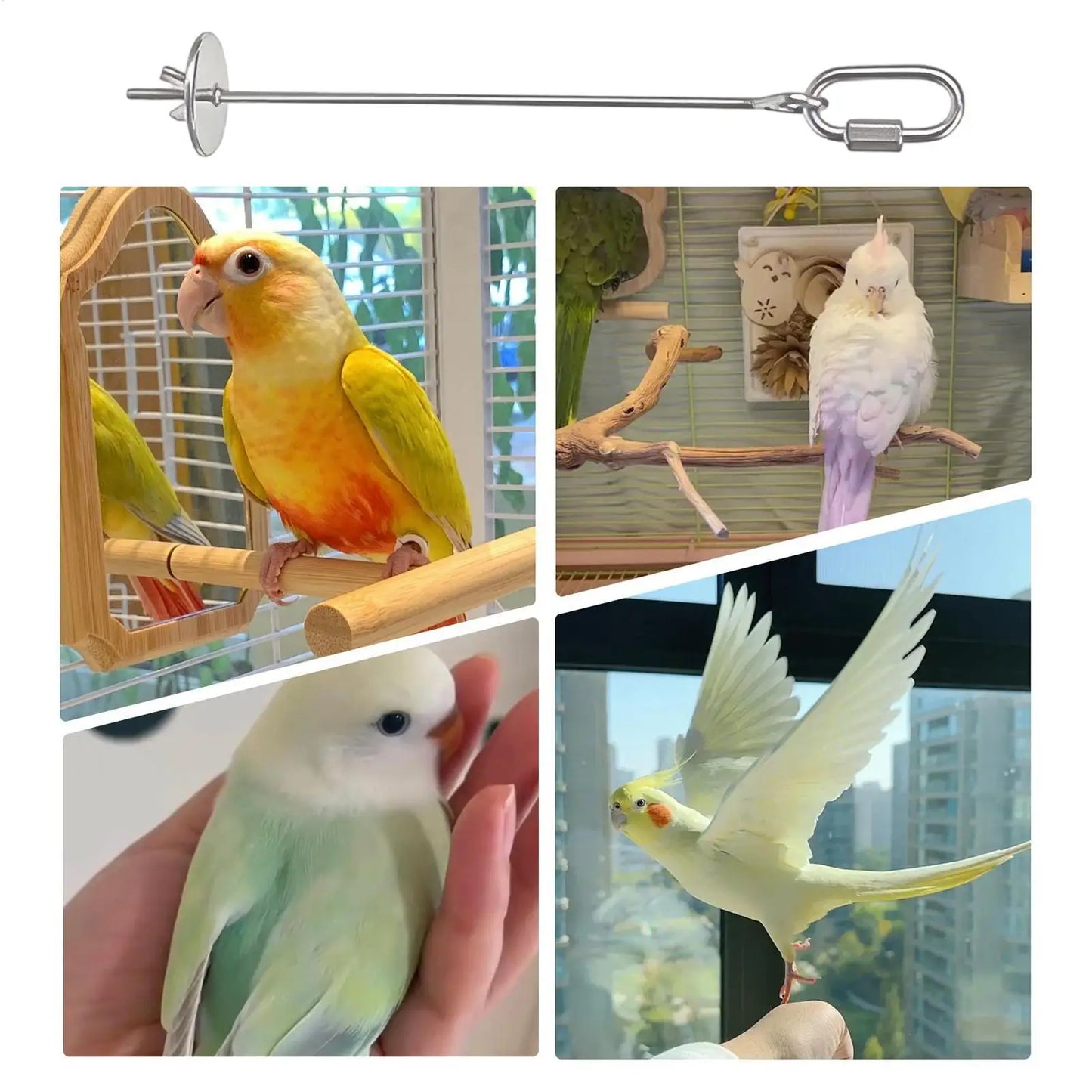 Stainless Steel Bird Fruit Skewer | Parrot Cage Feeder Toy