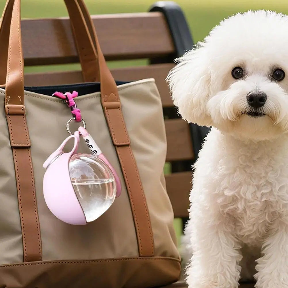 Portable Dog Water Bottle 285ml | Foldable Bowl, Leak-Proof