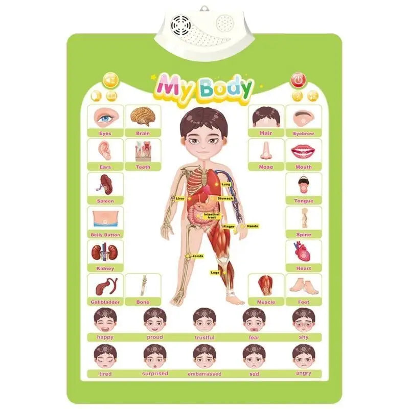 Talking ABC Wall Chart for Kids – Interactive Learning Toy