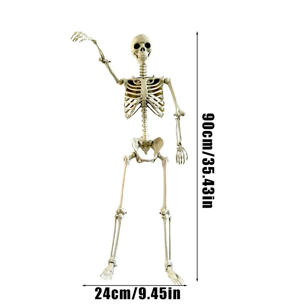 90cm Posable Halloween Skeleton Prop | Haunted House Decor