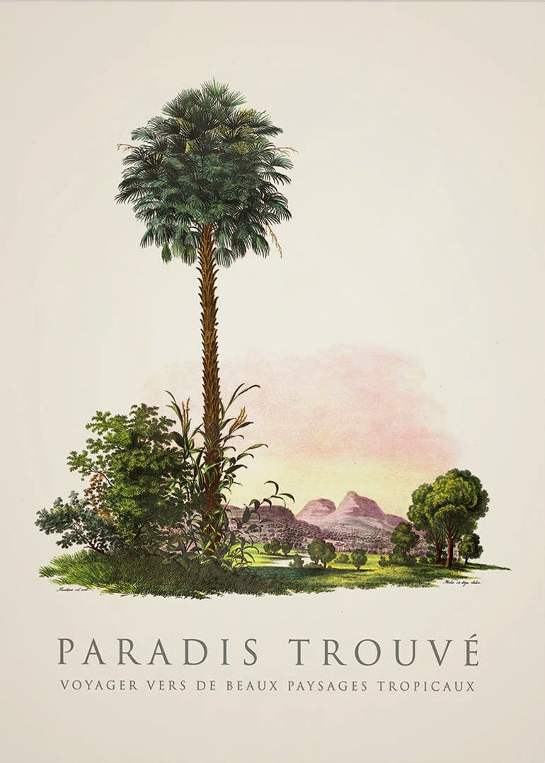 Tropical Palm & Banana Tree Vintage Botanical Canvas Wall Art Botanical Canvas Print Peaceful Pleasures Health and Wellness 11 55x75cm