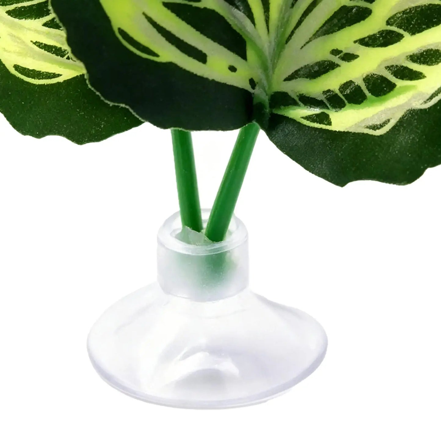 Betta Fish Leaf Hammock – Resting Bed & Aquarium Decor