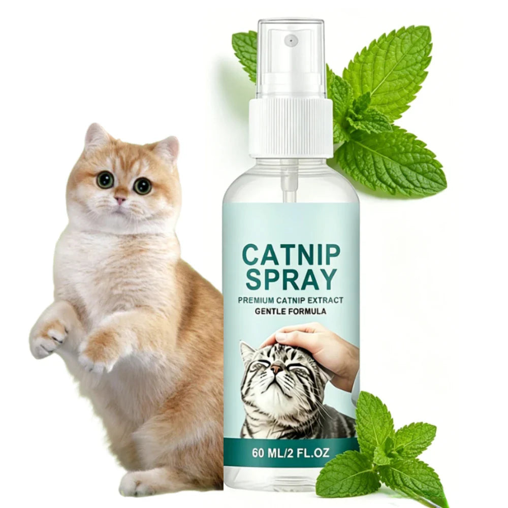 Catnip Spray for Cats – Calming, Stress Relief & Play